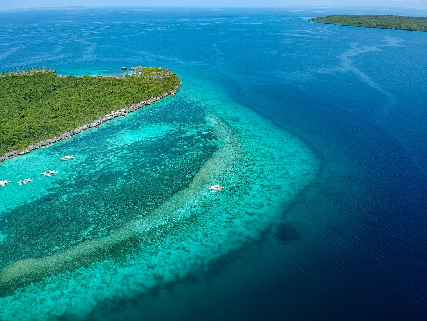 Why Cebu is a Top Travel Destination